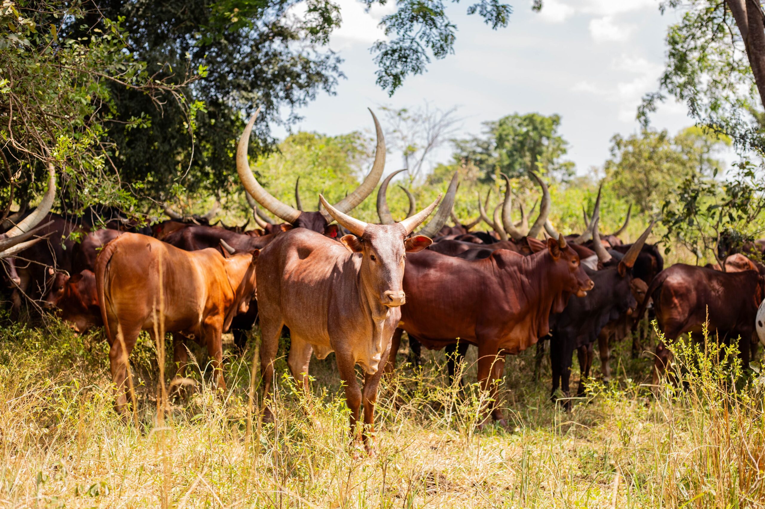 Modern farm tourism facilities